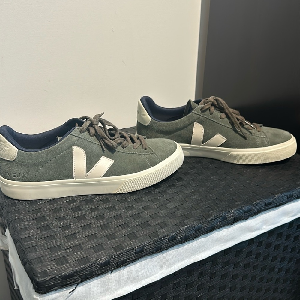 VEJA SUEDE SHOES